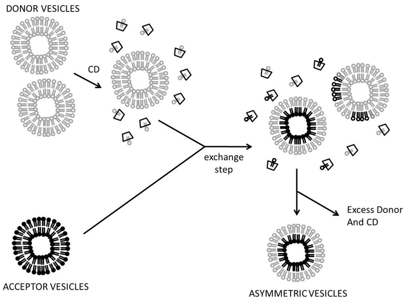 Figure 2: