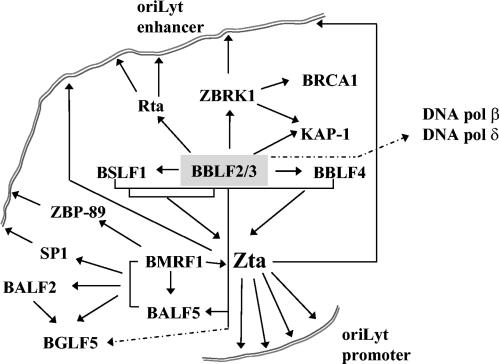 FIG. 8.