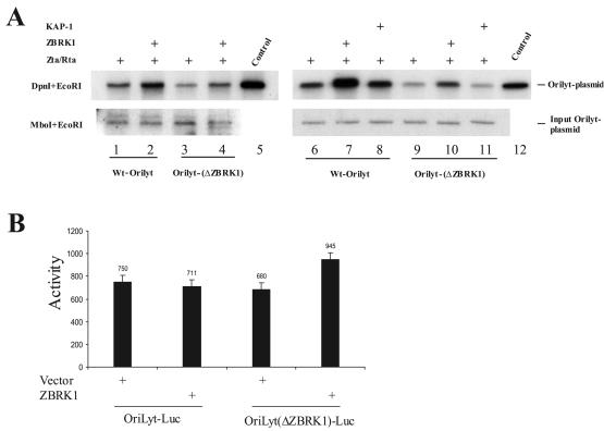 FIG. 7.