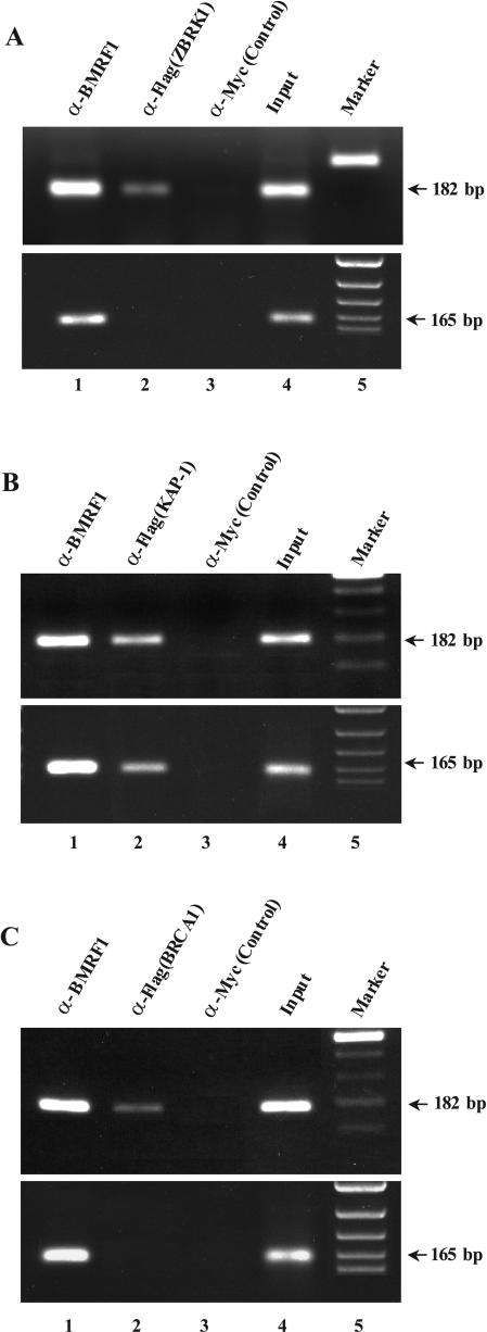 FIG. 5.