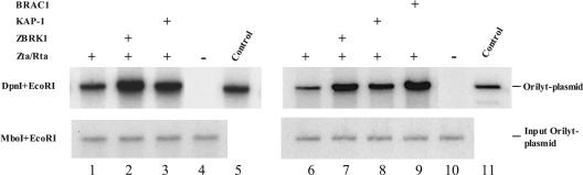 FIG. 6.