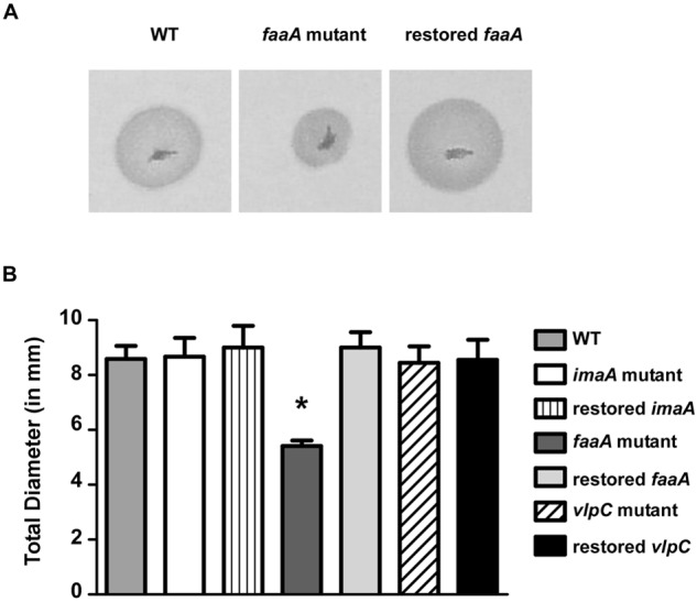 FIG 7 