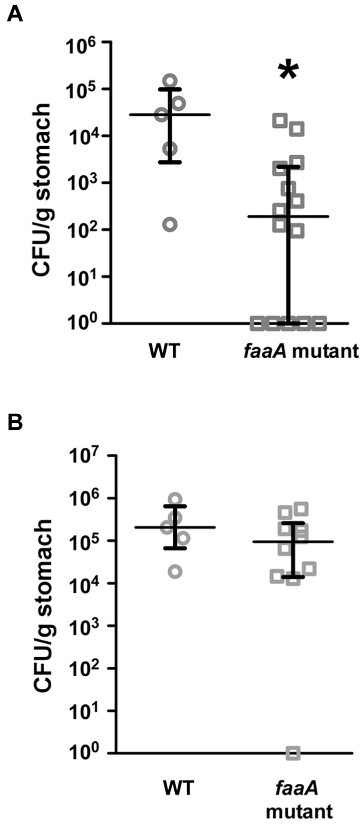 FIG 8 