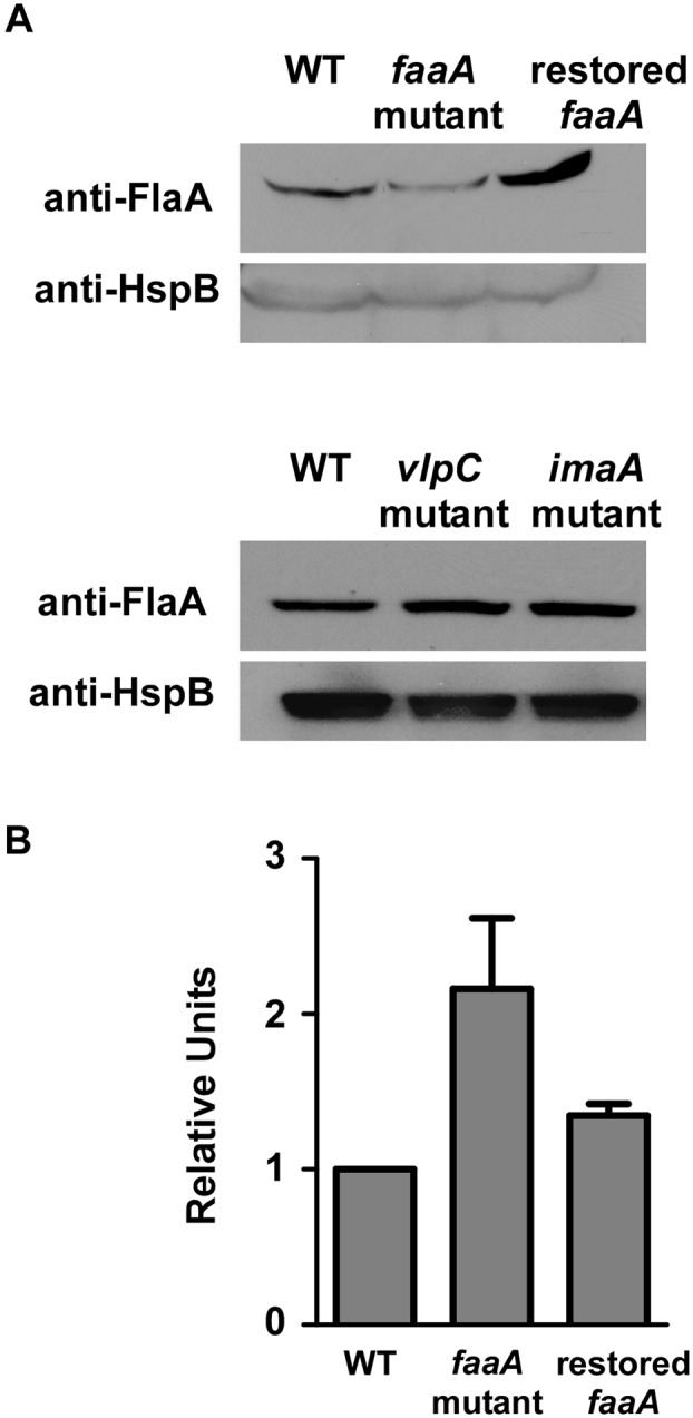 FIG 6 