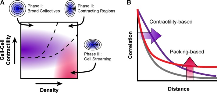 FIGURE 5: