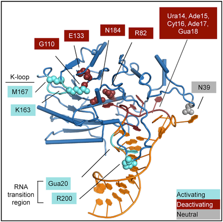 graphic file with name nihms-1004023-f0001.jpg