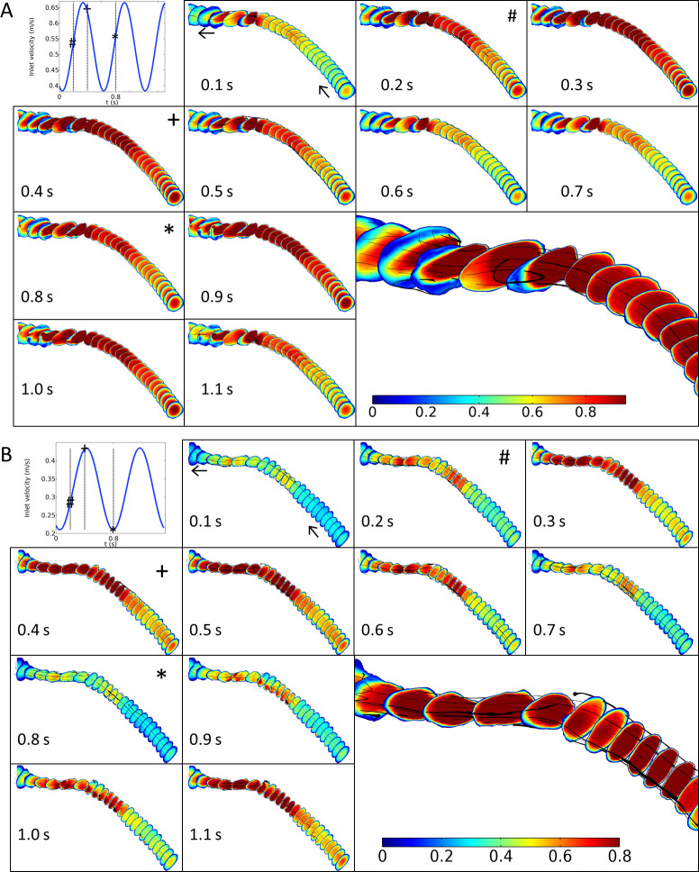 Fig 6