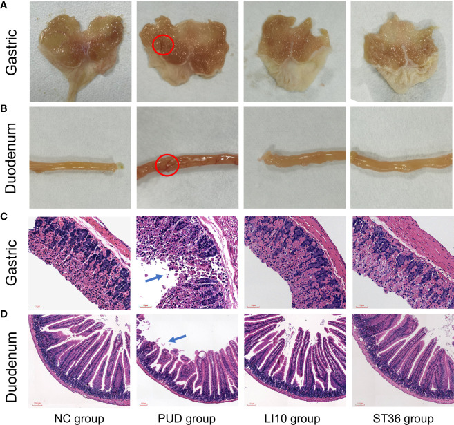 Figure 2