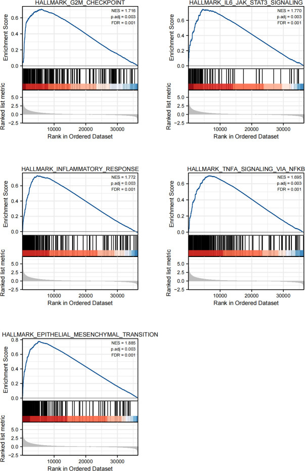 Figure 7