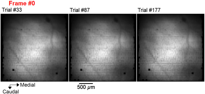 Fig. 10