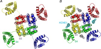 Figure 5