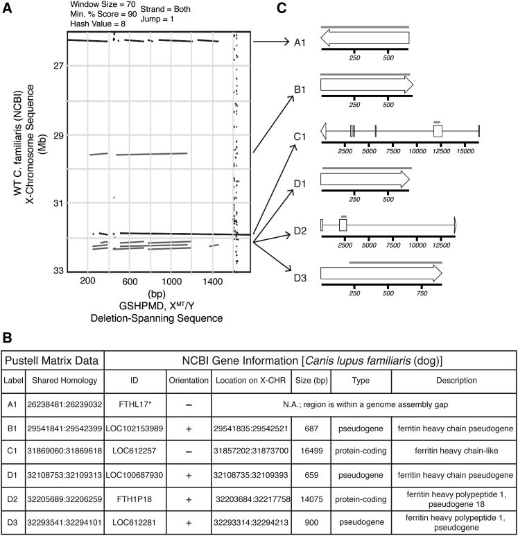 Figure 4