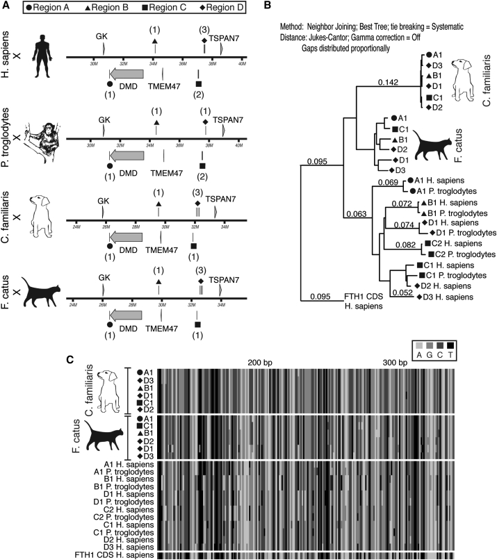 Figure 6