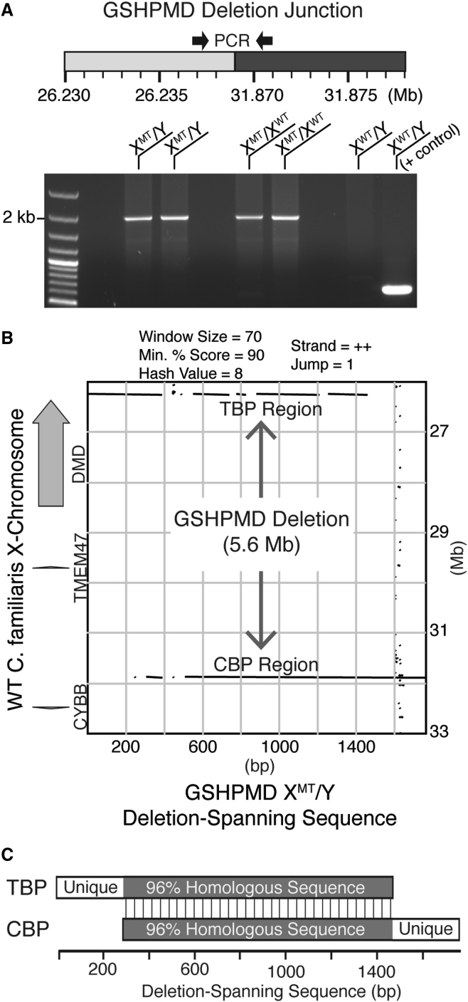 Figure 3