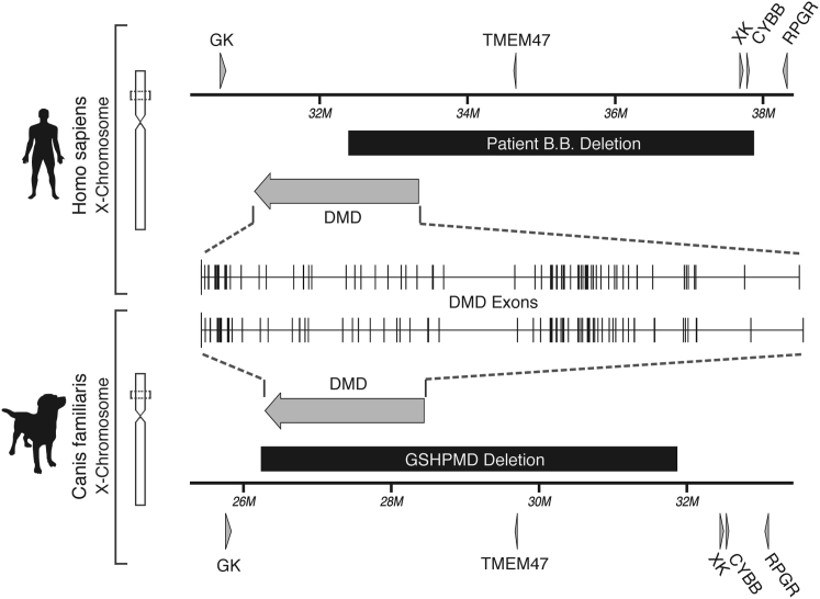 Figure 1