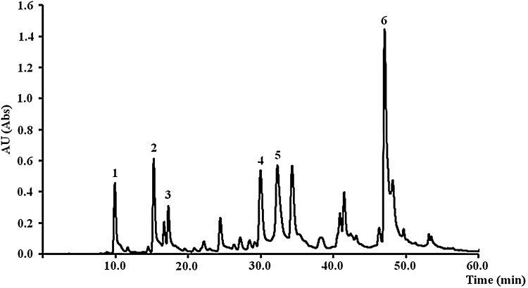 Fig. 1