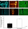 Fig. 11