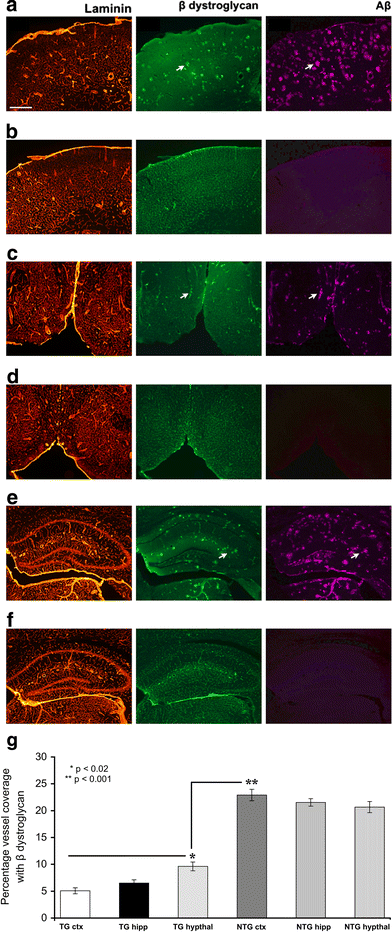 Fig. 6