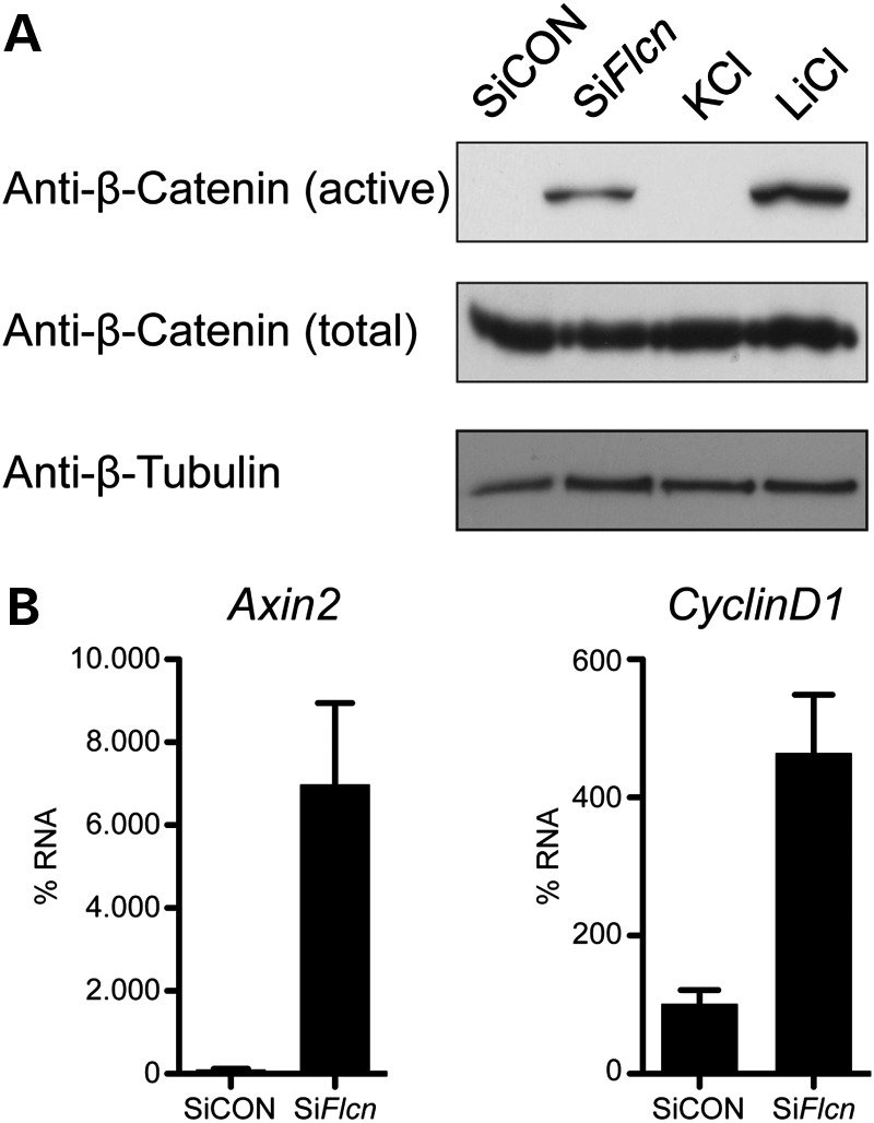 Figure 6.