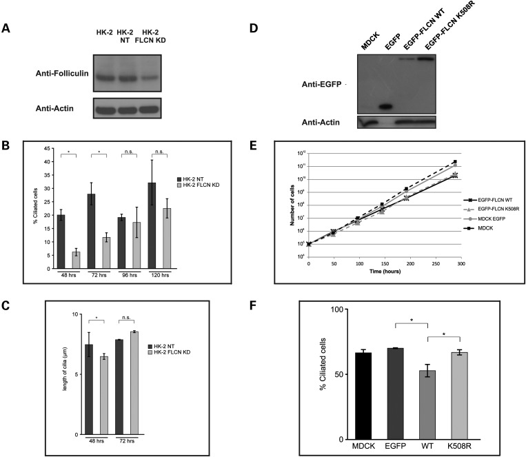 Figure 4.