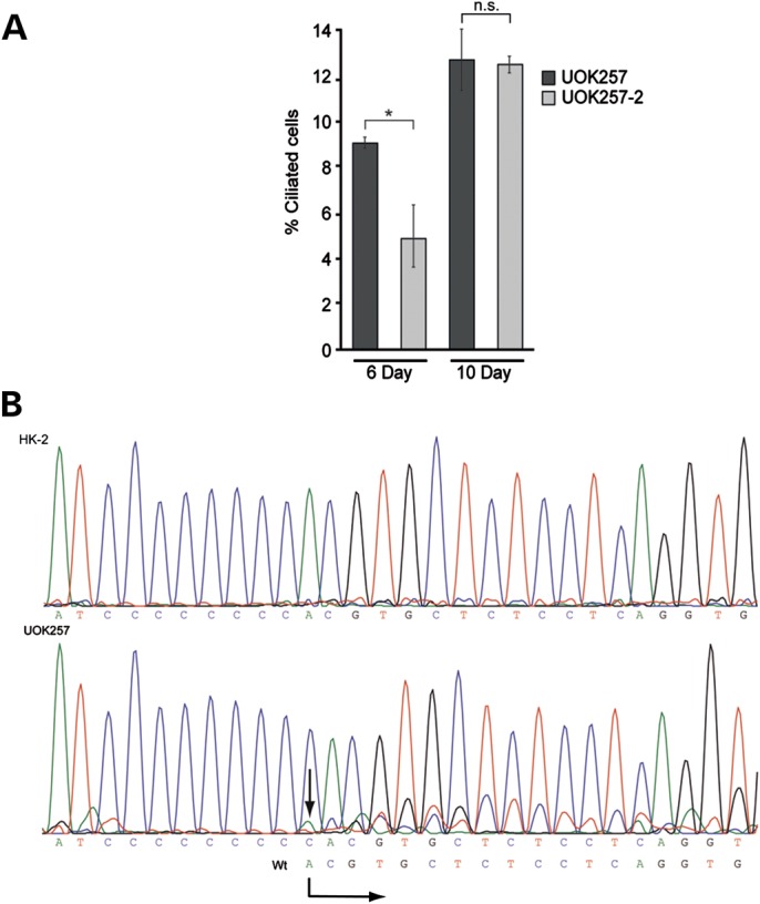 Figure 3.