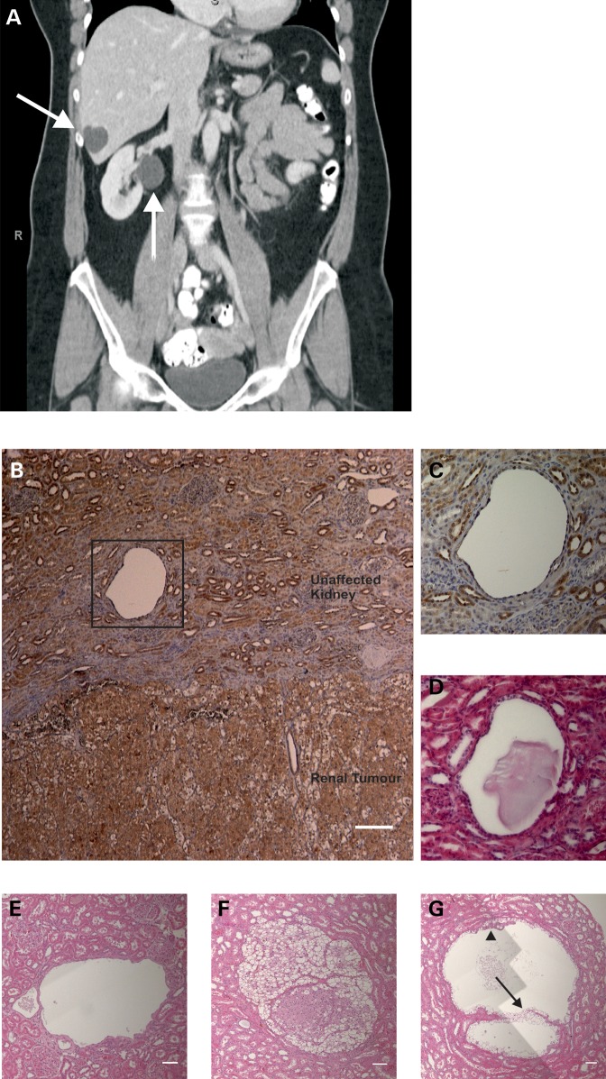 Figure 1.