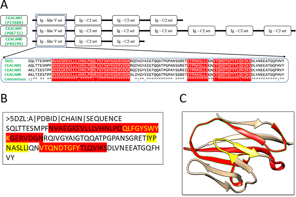 Figure 2: