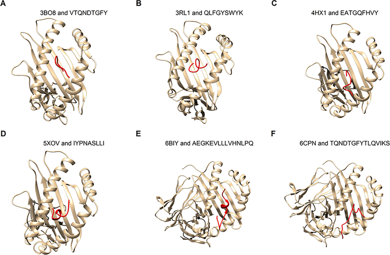 Figure 5: