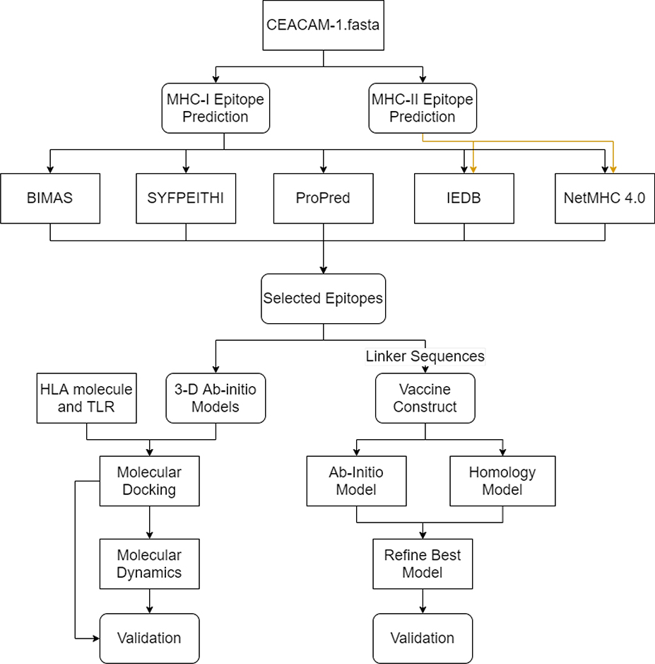 Figure 1: