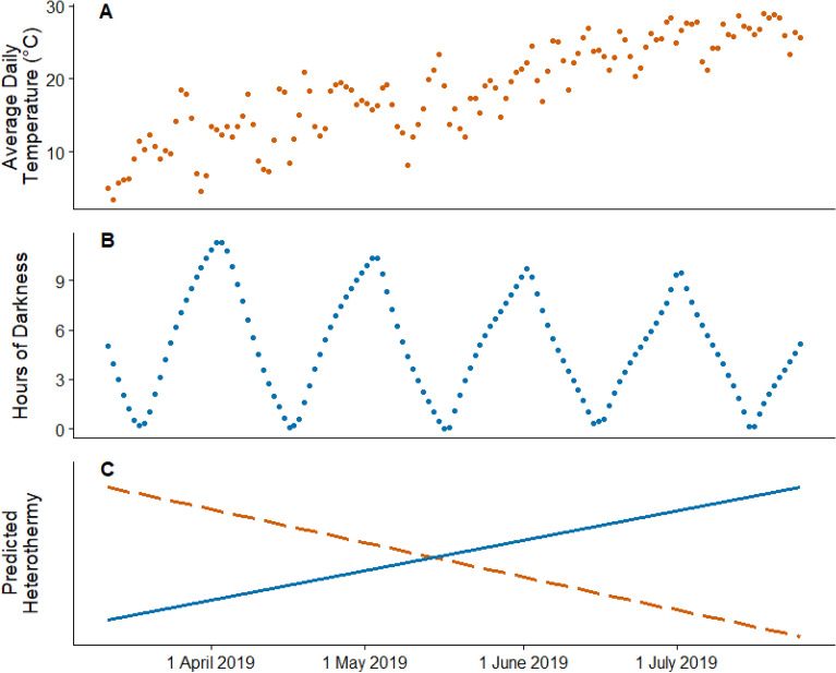 Heterothermy As A Mechanism To Offset Energetic Costs Of Environmental 