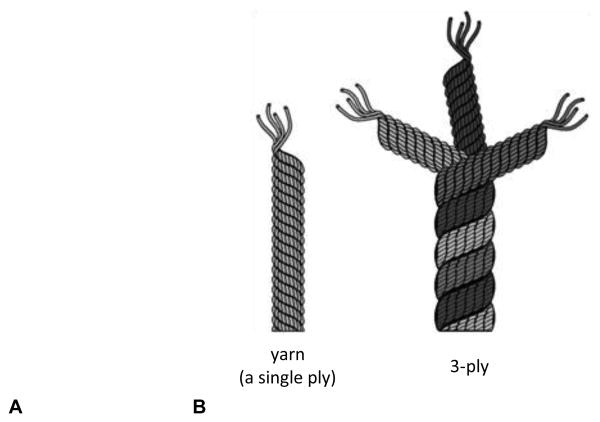 Figure 1A,B