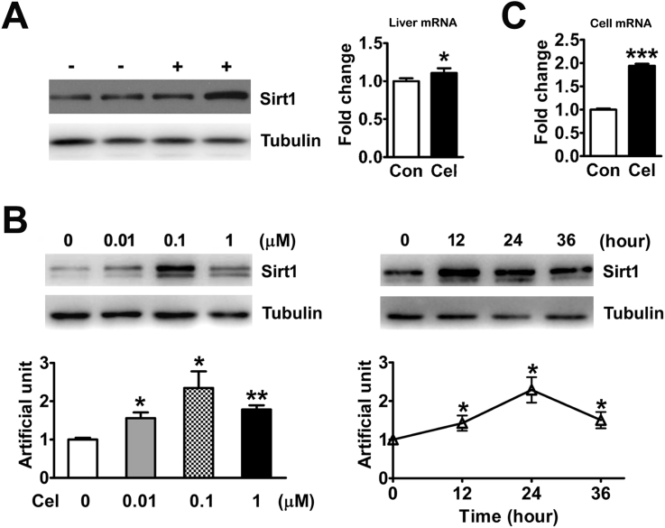 Figure 3