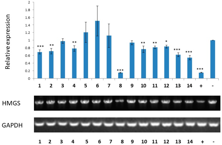 Figure 5