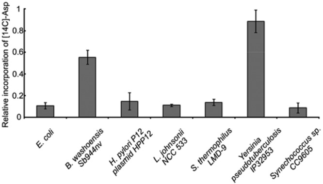 FIG 3 