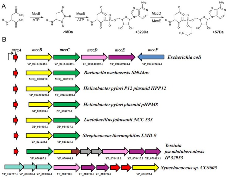 FIG 1 