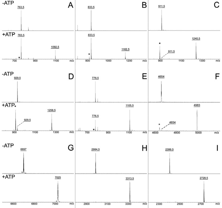 FIG 2 