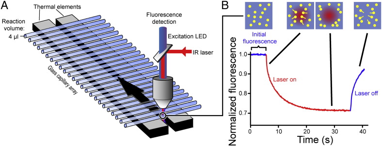 Fig. 2