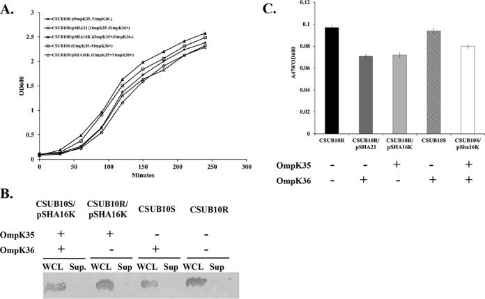 FIG 1