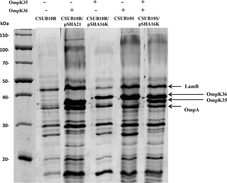 FIG 2