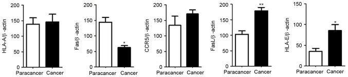 Figure 11.