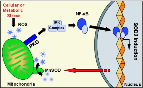 FIG. 8.