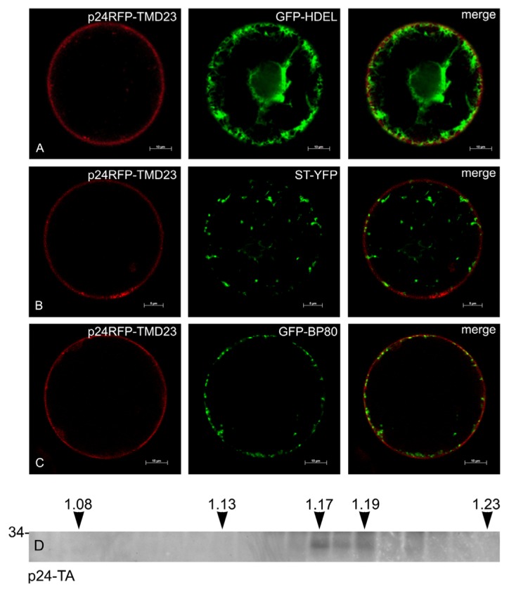 Figure 10