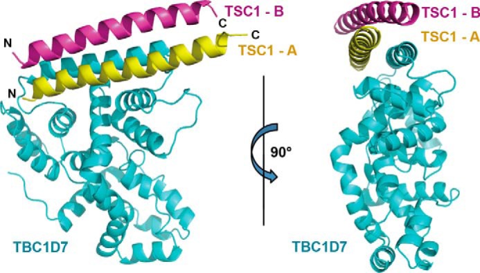 FIGURE 2.