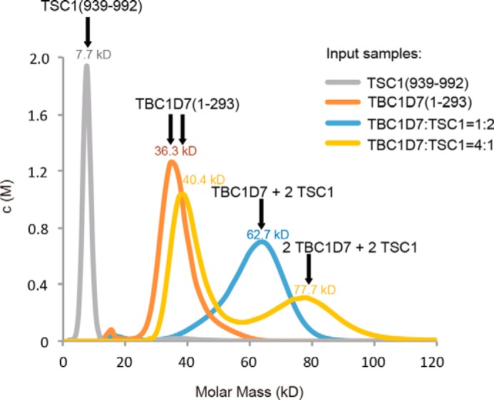 FIGURE 7.