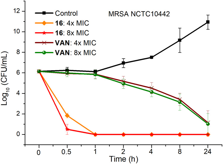 FIGURE 1