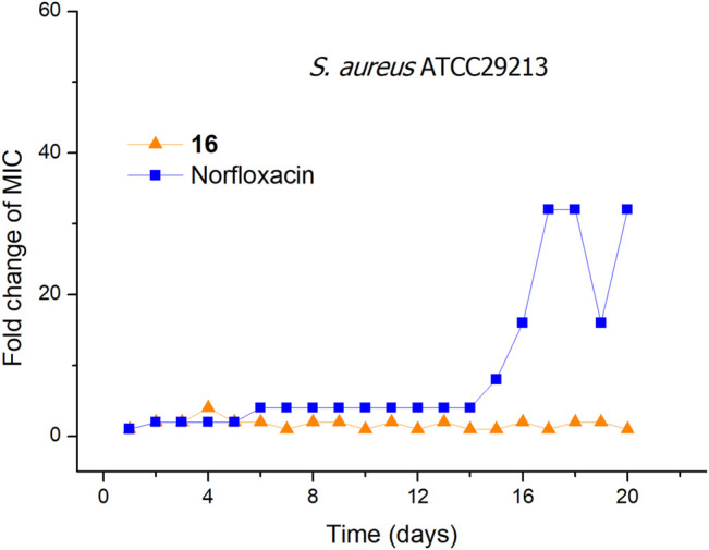 FIGURE 2