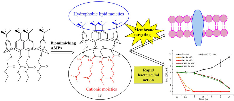 Graphical Abstract