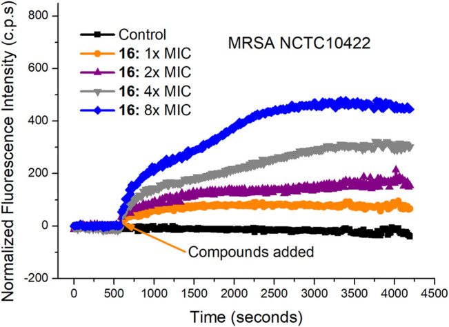 FIGURE 3