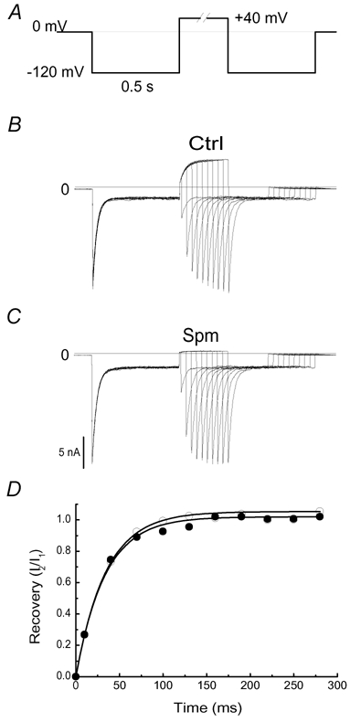 Figure 8