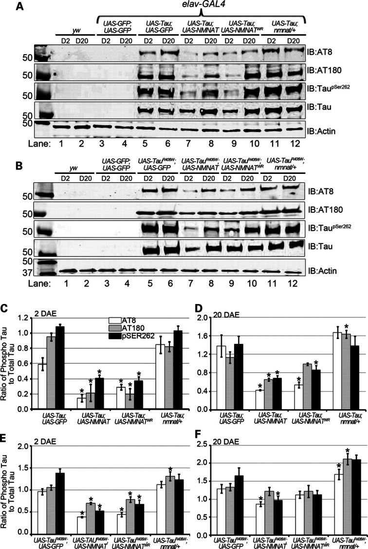 Figure 4.